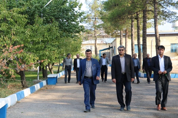 همایش پیاده روی  3