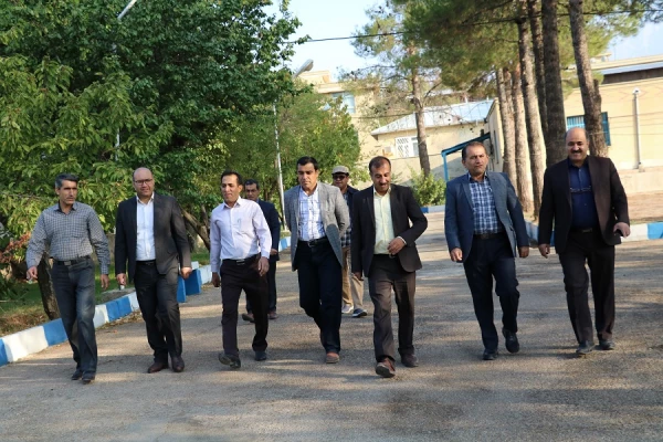 همایش پیاده روی  4