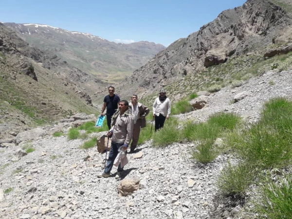 به منظور ایجادروحیه نشاط و شادابی انجام شد:
کوهپیمایی جمعی از کارکنان دانشگاه فرهنگیان استان در ارتفاعات دنا 2