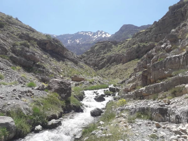 به منظور ایجادروحیه نشاط و شادابی انجام شد:
کوهپیمایی جمعی از کارکنان دانشگاه فرهنگیان استان در ارتفاعات دنا 2